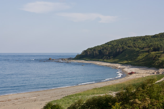 Река Бахура, Долинский район, Остров Сахалин