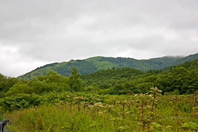 Карьер, Новиково, Корсаковский район, Остров Сахалин