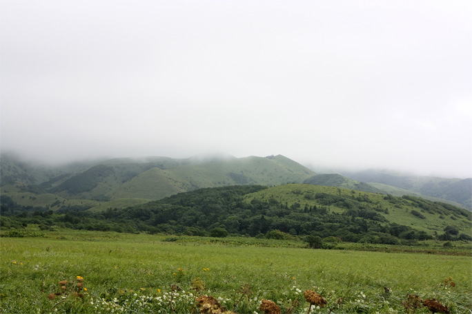 Южное, Корсаковский район, Остров Сахалин