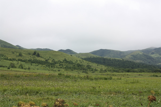 Южное, Корсаковский район, Остров Сахалин