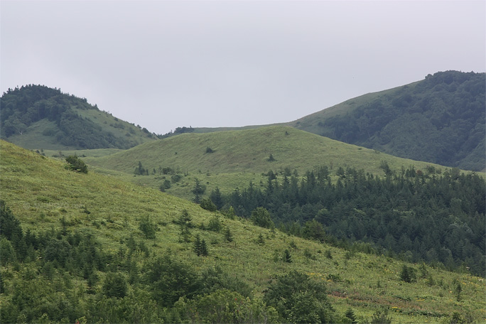 Южное, Корсаковский район, Остров Сахалин