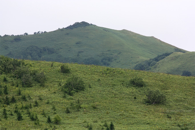 Южное, Корсаковский район, Остров Сахалин