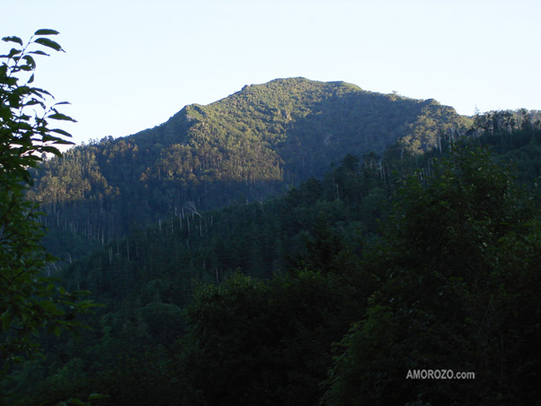 Гора  Швана, Корсаковский район, Остров Сахалин