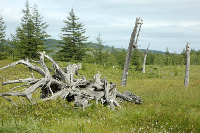 Мыс Грозный, Корсаковский район, Остров Сахалин