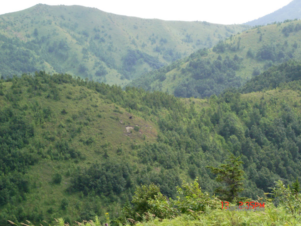 Мыс Менапуцы, Корсаковский район, Остров Сахалин