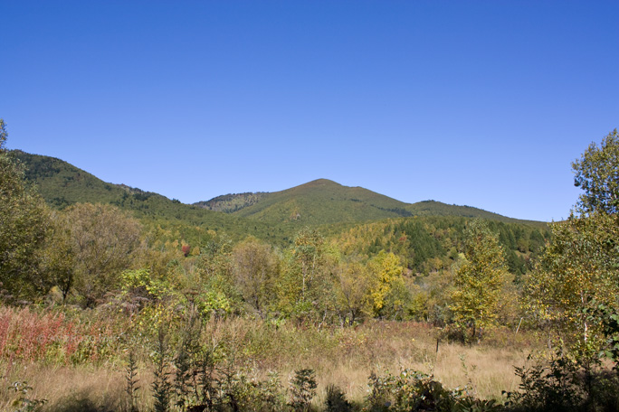 Река Очепуха (Очиха), Корсаковский район, Остров Сахалин