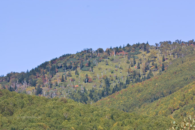 Река Очепуха (Очиха), Корсаковский район, Остров Сахалин