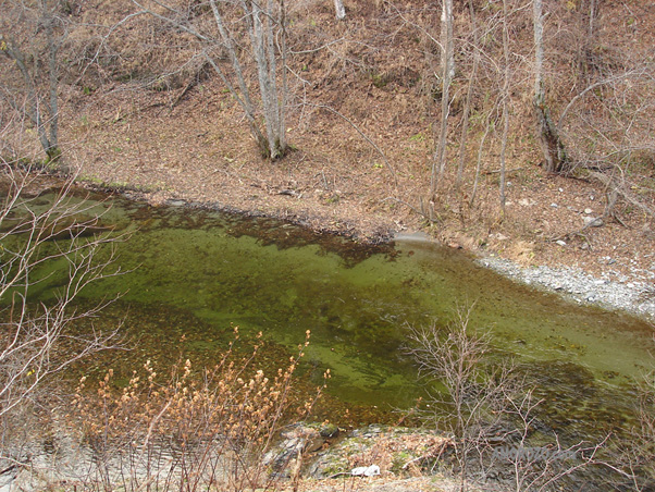 Река Очепуха (Очиха), Корсаковский район, Остров Сахалин