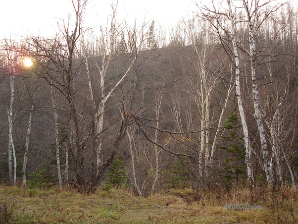 Река Очепуха (Очиха), Корсаковский район, Остров Сахалин