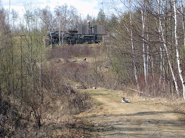 Абрамовка, Смирныховский район, Остров Сахалин