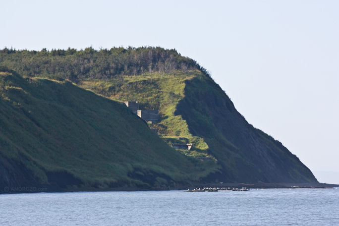 Река Каменка, Углегорский район, Остров Сахалин