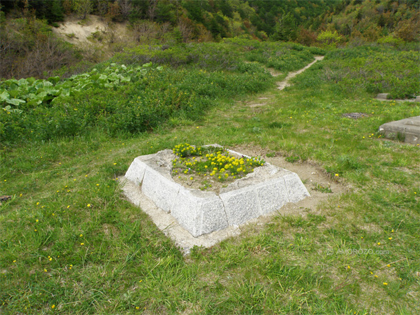 Японский храм, Томари, Томаринский район, Остров Сахалин