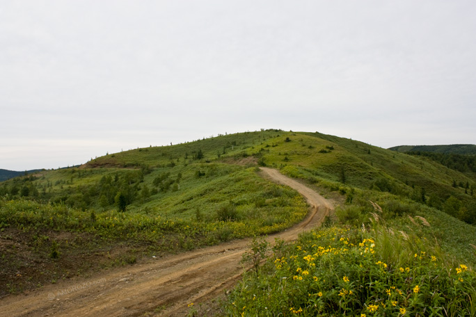 Хребет Южно-Камышовый, Томаринский район, Остров Сахалин