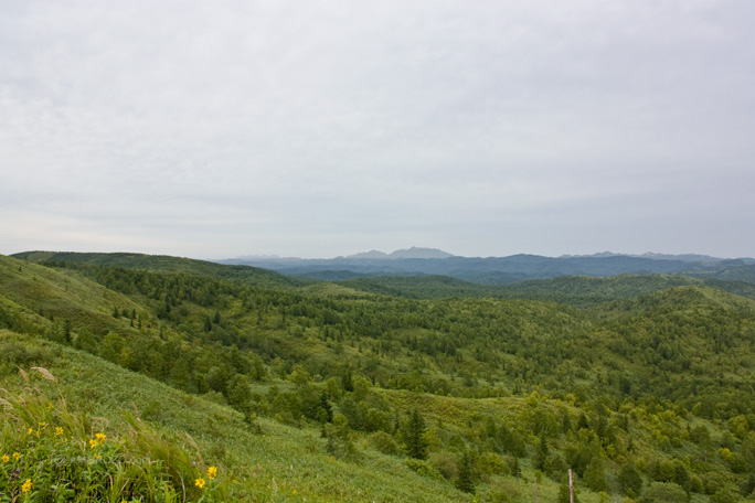 Хребет Южно-Камышовый, Томаринский район, Остров Сахалин