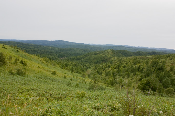 Хребет Южно-Камышовый, Томаринский район, Остров Сахалин