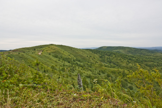 Хребет Южно-Камышовый, Томаринский район, Остров Сахалин