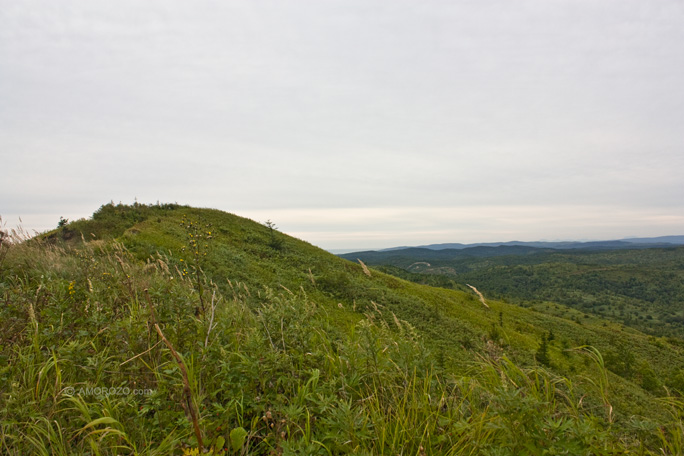 Хребет Южно-Камышовый, Томаринский район, Остров Сахалин