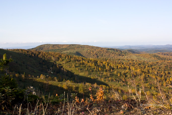 Хребет Южно-Камышовый, Томаринский район, Остров Сахалин