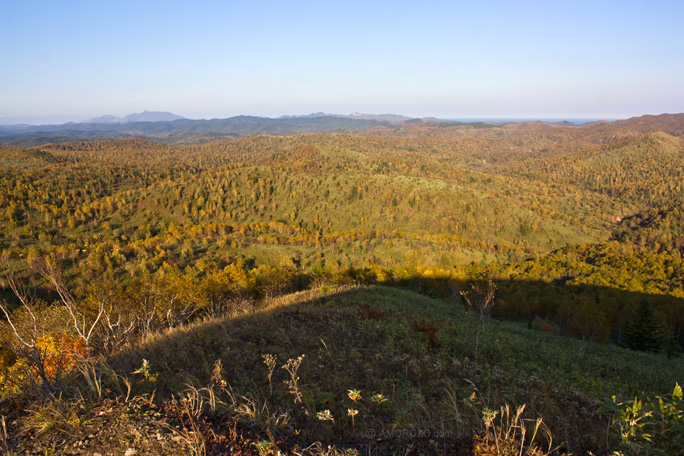 Хребет Южно-Камышовый, Томаринский район, Остров Сахалин