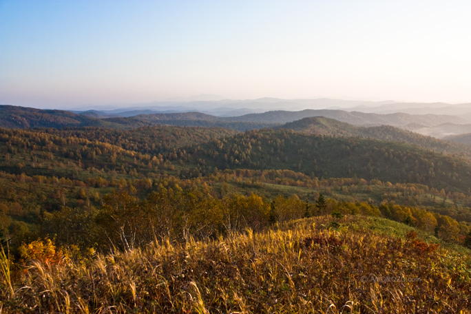 Хребет Южно-Камышовый, Томаринский район, Остров Сахалин