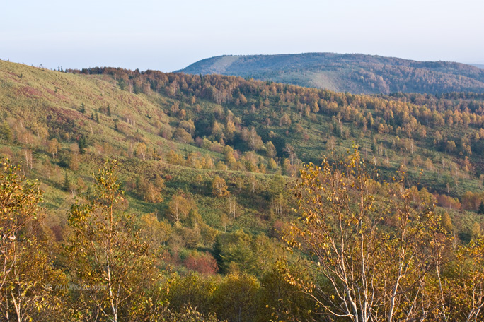 Хребет Южно-Камышовый, Томаринский район, Остров Сахалин