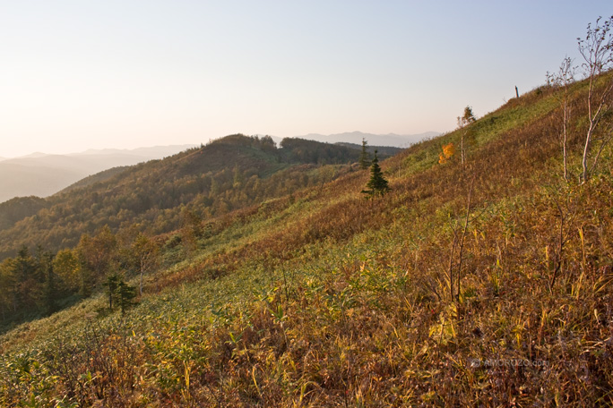 Хребет Южно-Камышовый, Томаринский район, Остров Сахалин