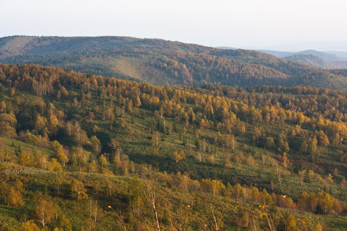 Хребет Южно-Камышовый, Томаринский район, Остров Сахалин