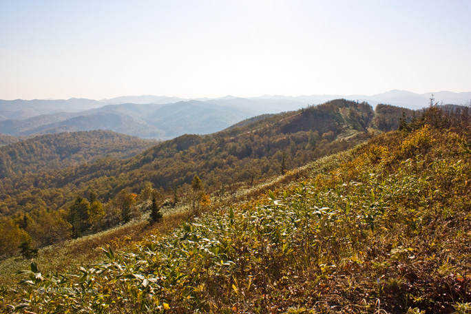 Хребет Южно-Камышовый, Томаринский район, Остров Сахалин