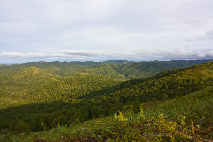 Хребет Южно-Камышовый, Томаринский район, Остров Сахалин