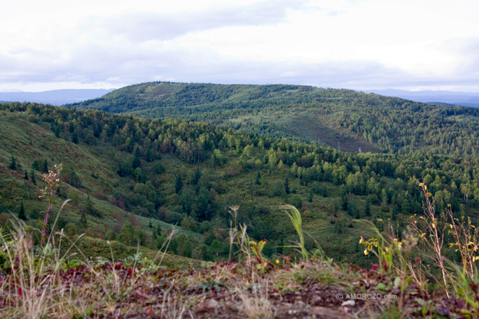 Хребет Южно-Камышовый, Томаринский район, Остров Сахалин