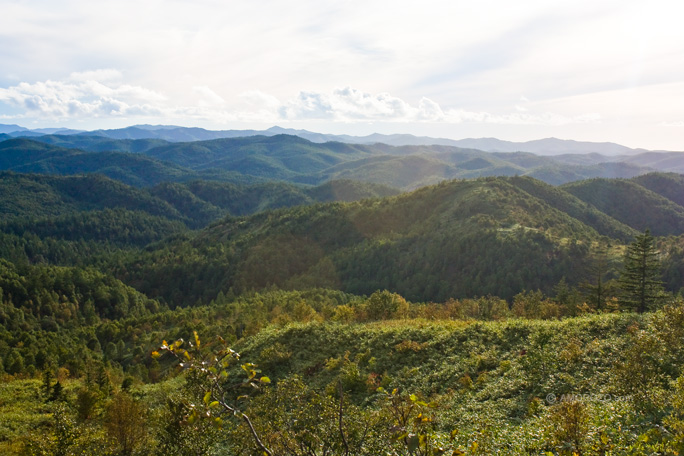 Хребет Южно-Камышовый, Томаринский район, Остров Сахалин