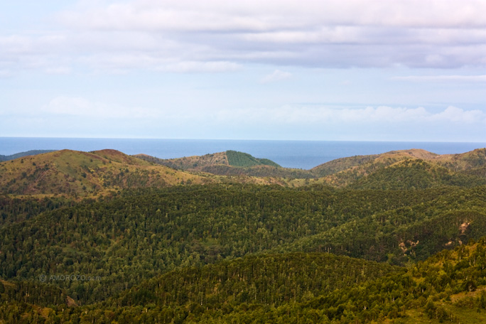 Хребет Южно-Камышовый, Томаринский район, Остров Сахалин