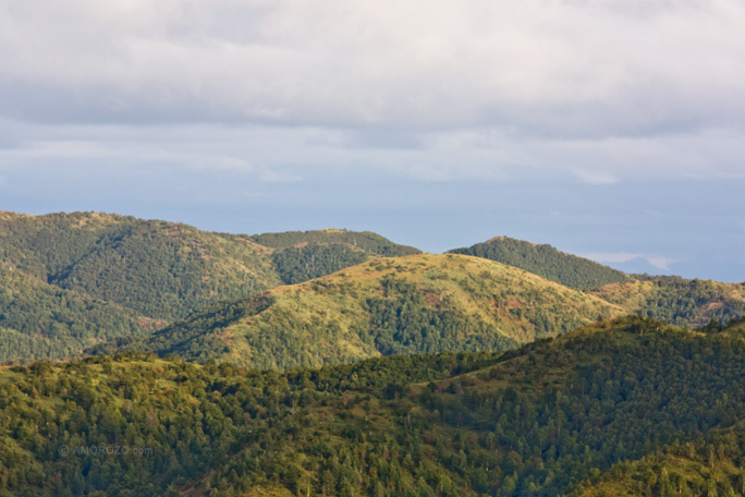 Хребет Южно-Камышовый, Томаринский район, Остров Сахалин