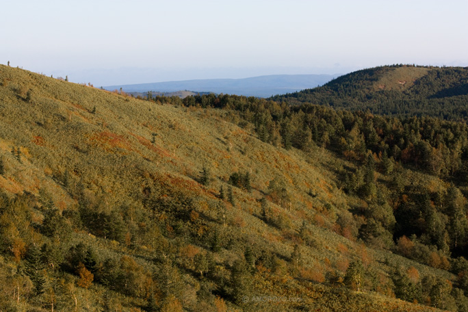 Хребет Южно-Камышовый, Томаринский район, Остров Сахалин