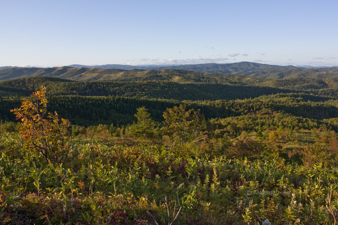 Хребет Южно-Камышовый, Томаринский район, Остров Сахалин