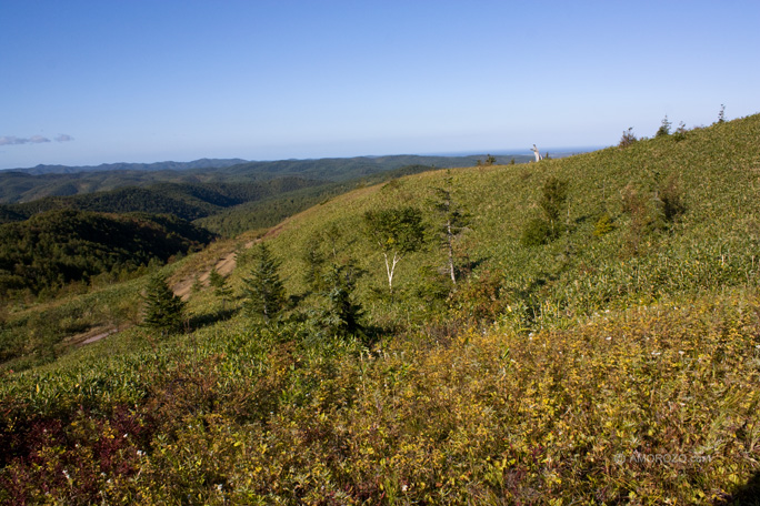 Хребет Южно-Камышовый, Томаринский район, Остров Сахалин